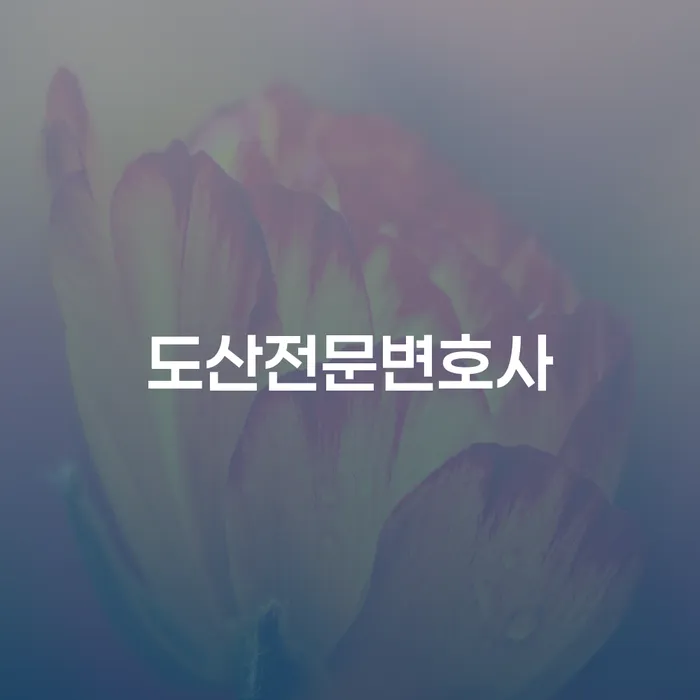 도박빚개인회생 개인회생 제도 진행할 때 꼭 알아야 할