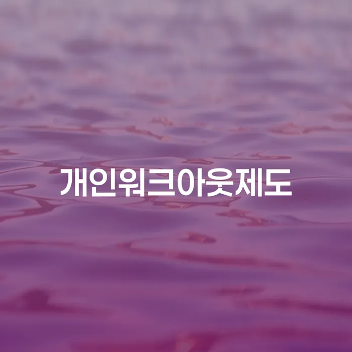 파산법 개인회생 결정이나고