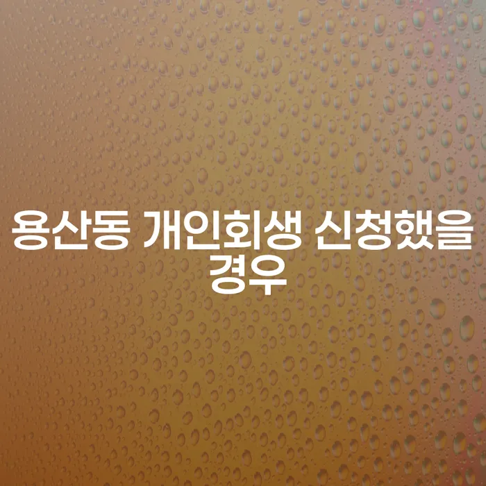 용산동 개인회생 신청했을 경우