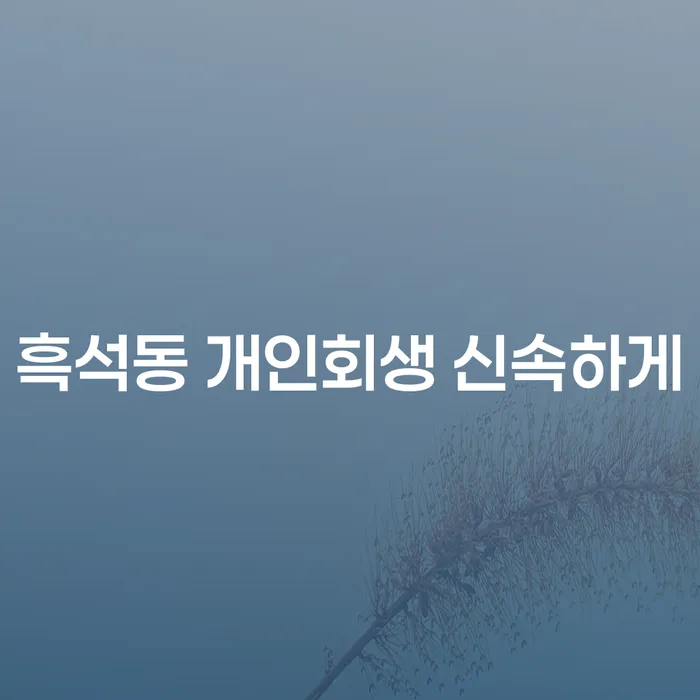 흑석동 개인회생 신속하게