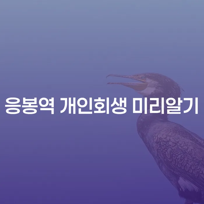 응봉역 개인회생 미리알기