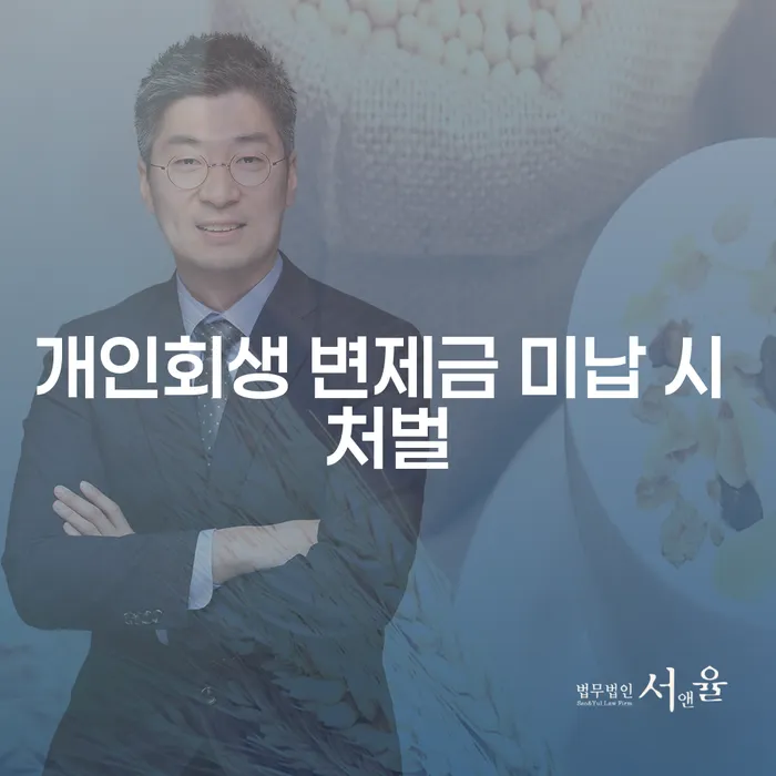 개인회생 변제금 미납 시 처벌, 정말 걱정해야 할까요?