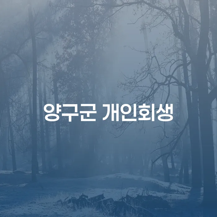 양구군 개인회생, 정말 필요한가요?